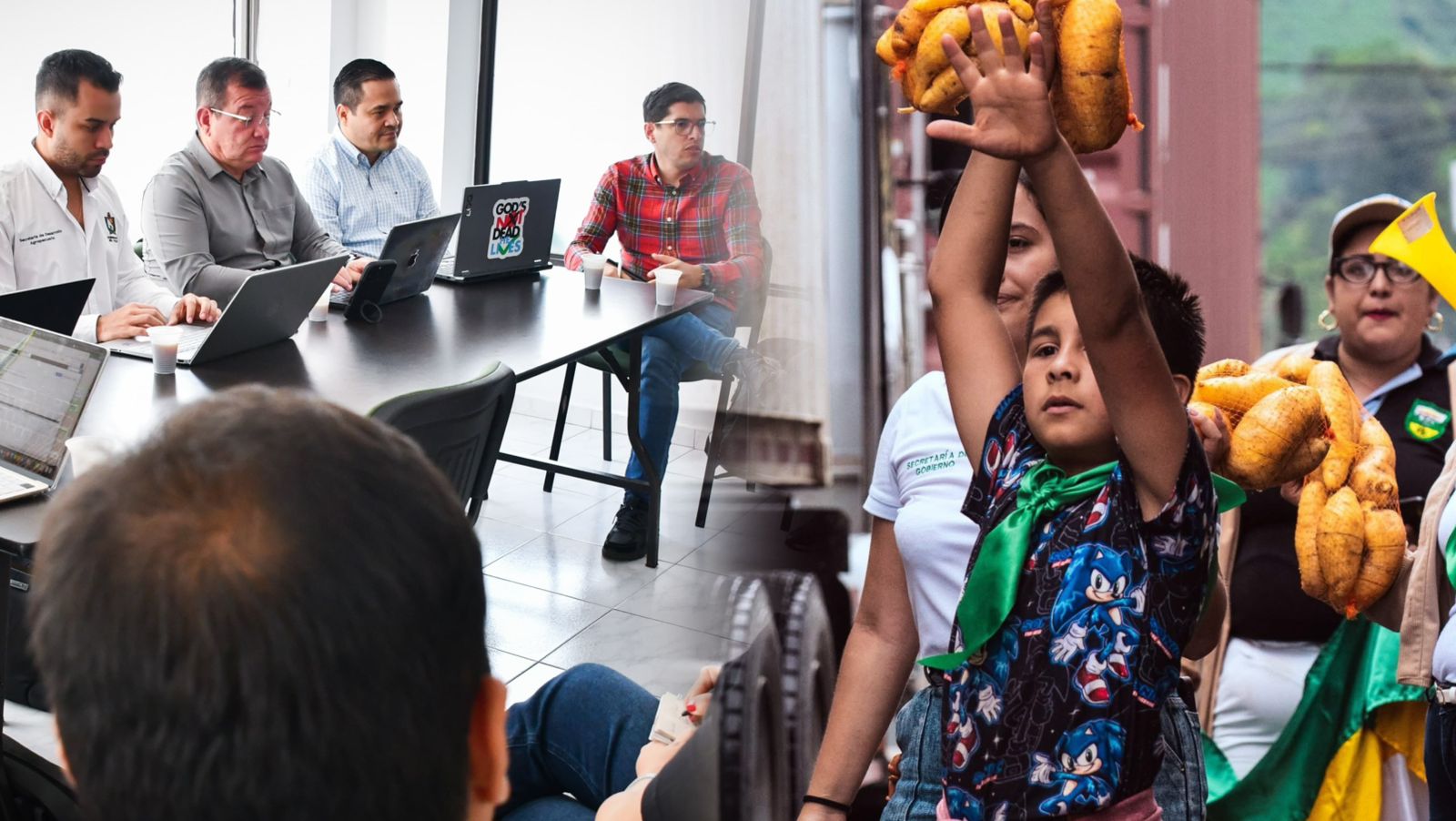 Cajamarca se la juega por la ciencia para salvar a la arracacha y diversificar el campo