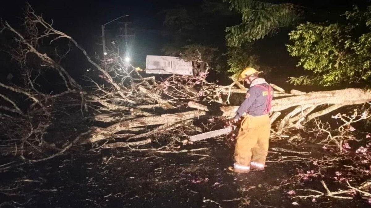 Emergencias por Lluvias | Inundaciones | Caída de Arboles | Agosto 2025