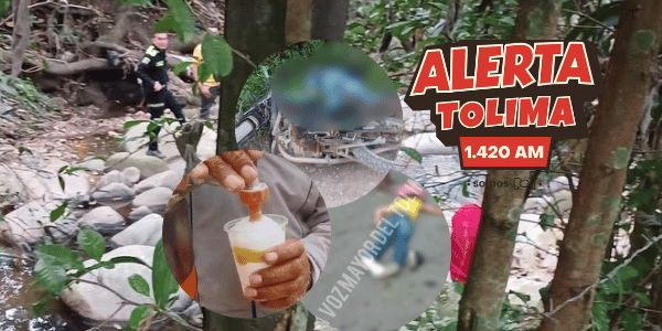 Las 5 judiciales de Alerta Tolima