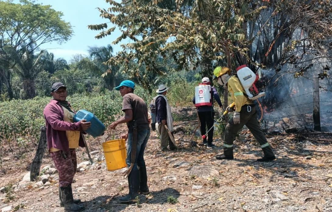 Incendios en el Llano del Loco dejan devastación y exigen un esfuerzo extremo de los bomberos.