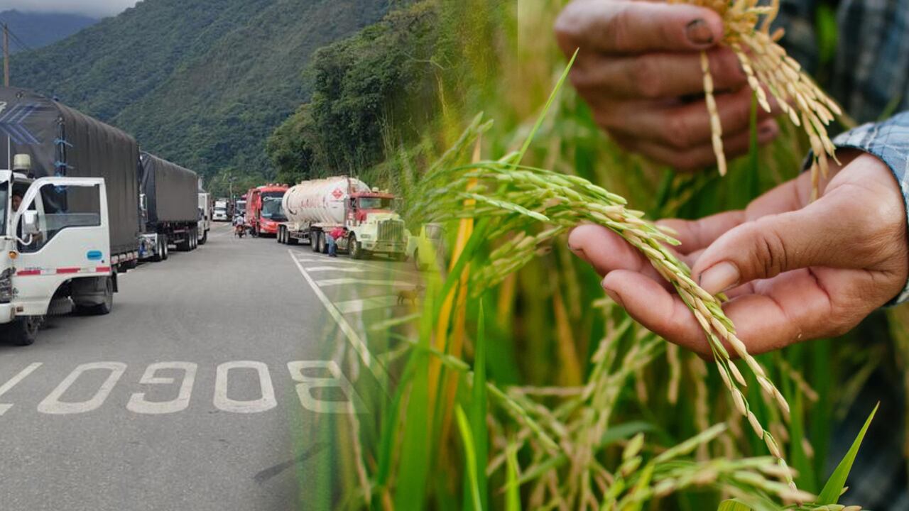 Productores e industriales logran acuerdo histórico en el precio del arroz