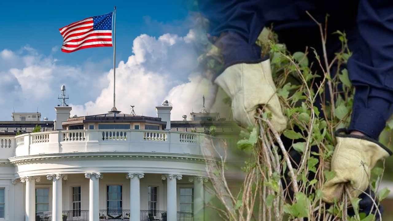 Gobernadora del Tolima advierte impactos de descertificación en inversión y exportaciones