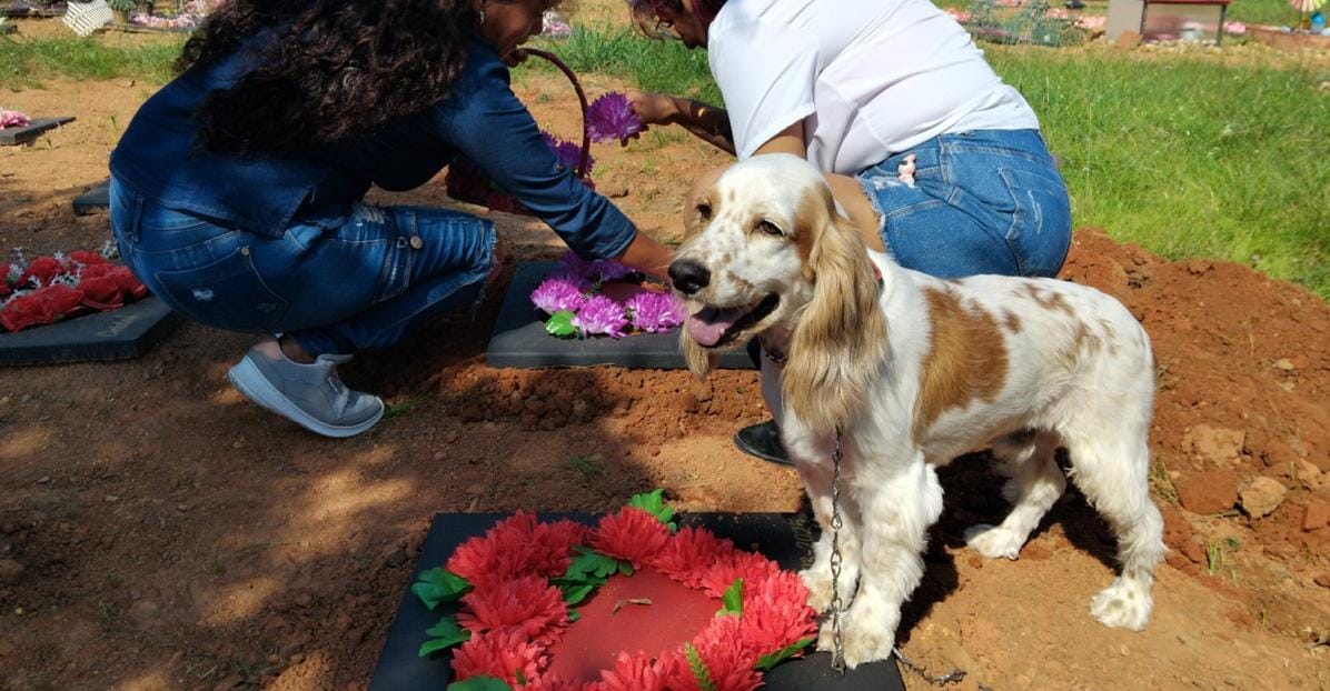 Cementerio de mascotas Neiva