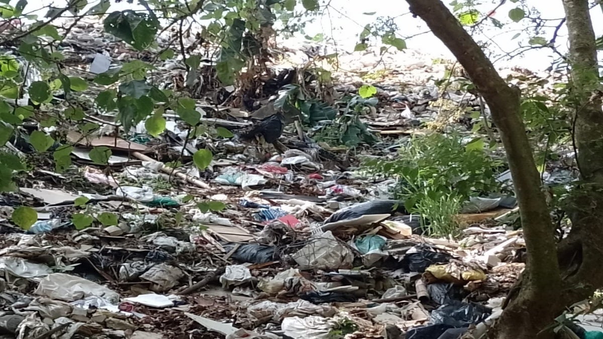 Contaminación Hato de la Virgen.