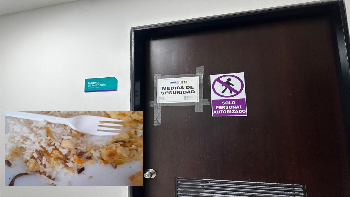 Cucaracha en la cocina Clinica Nuestra