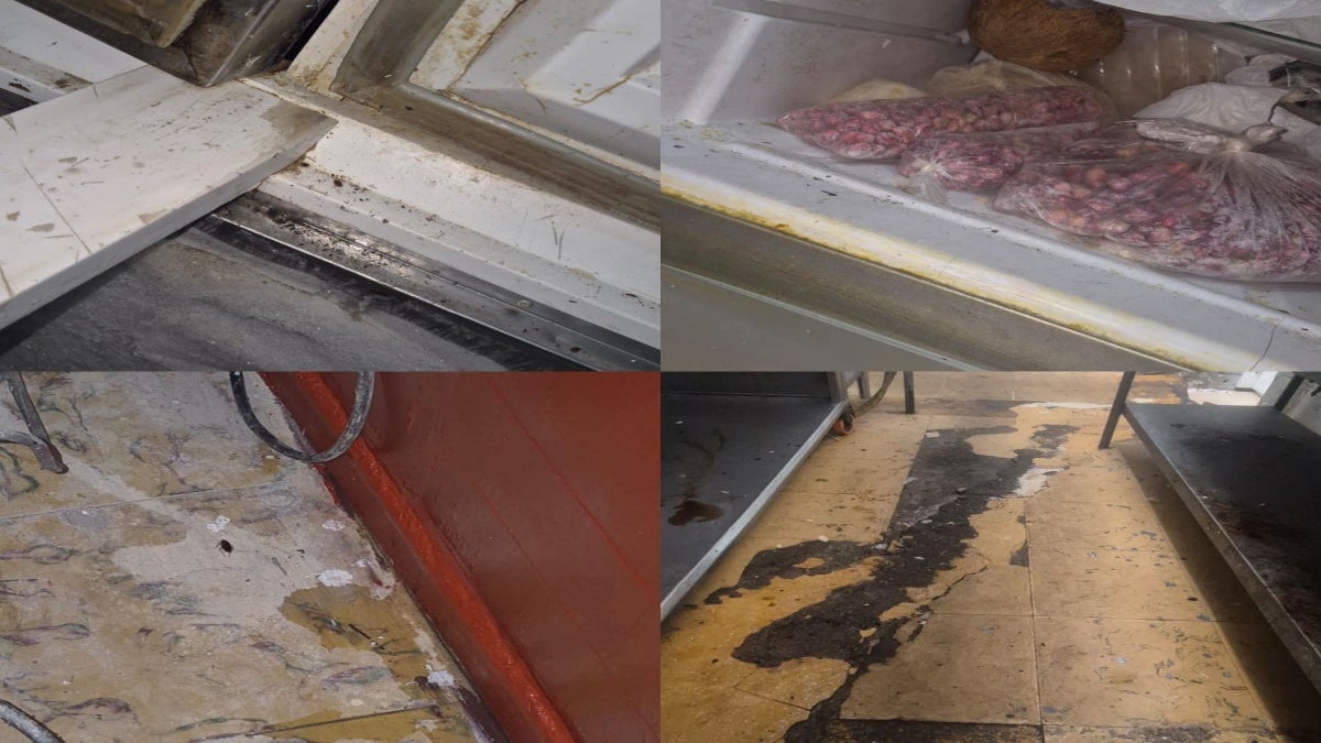 Cucarachas en restaurantes de Ibagué