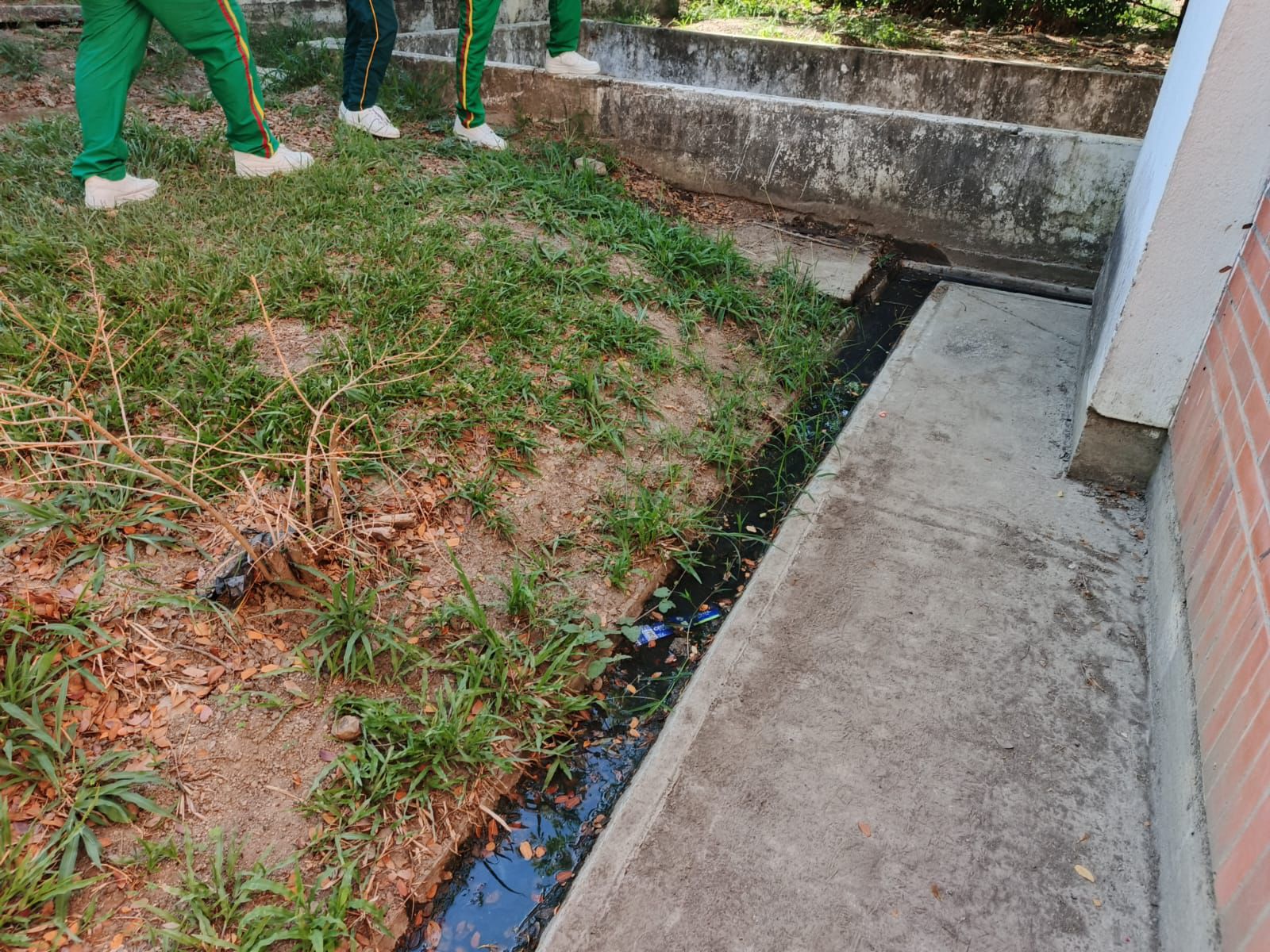 I.E. Técnica Nueva Esperanza La Palma