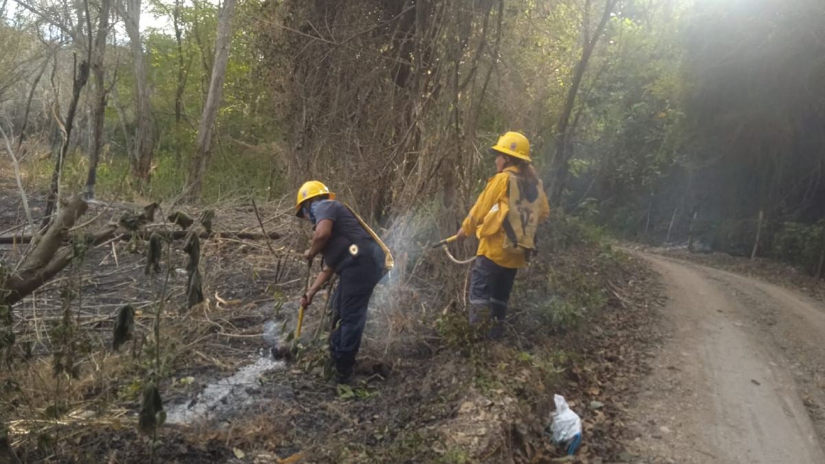 Incendios forestales en el Tolima | Incendios Tolima | Tolima | Septiembre 2025