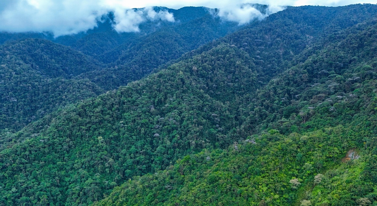 Reservas Naturales Huila