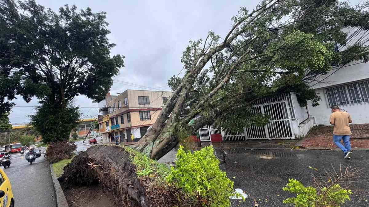 Afectaciones invierno | Lluvias Ibagué | Tormenta Ibagué | Septiembre 2025