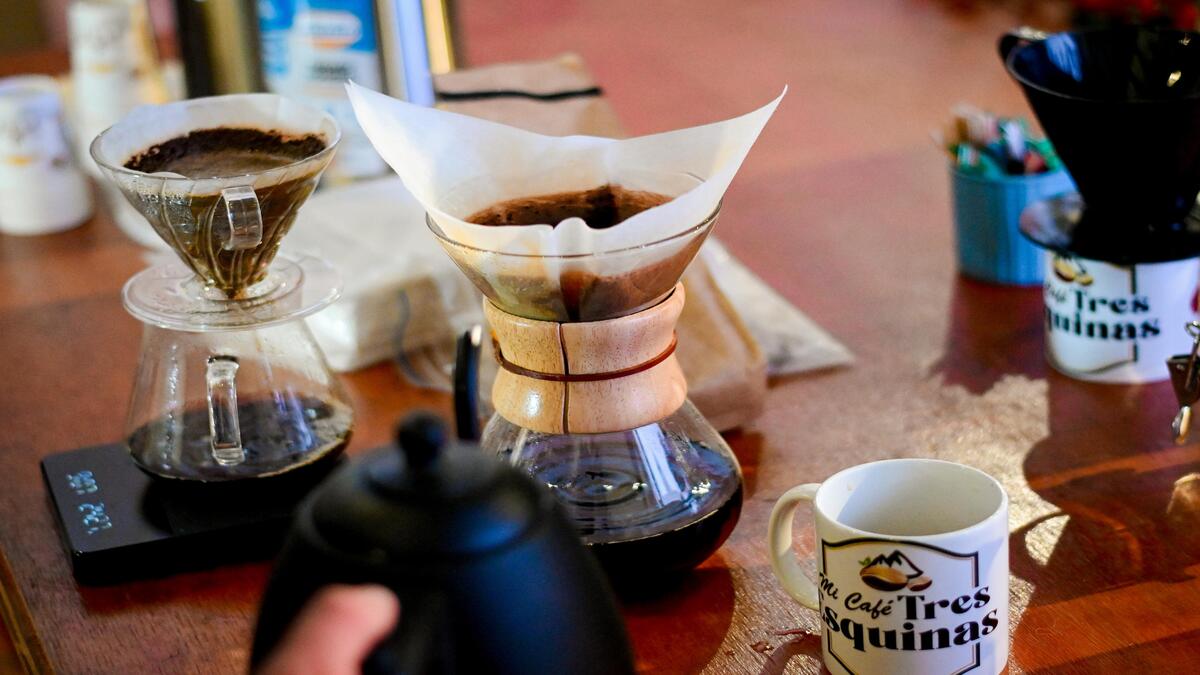 Ibagué Café Festival | Festival de Café | Café de Ibagué | Septiembre 2025