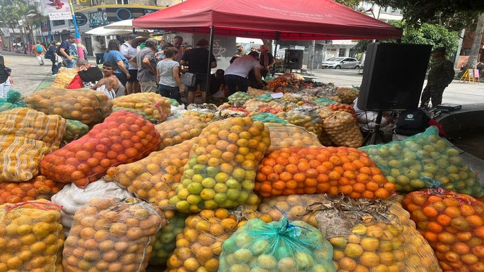 Naranjatón | Venta de Naranja | Naranjas Ibagué | Septiembre 2025