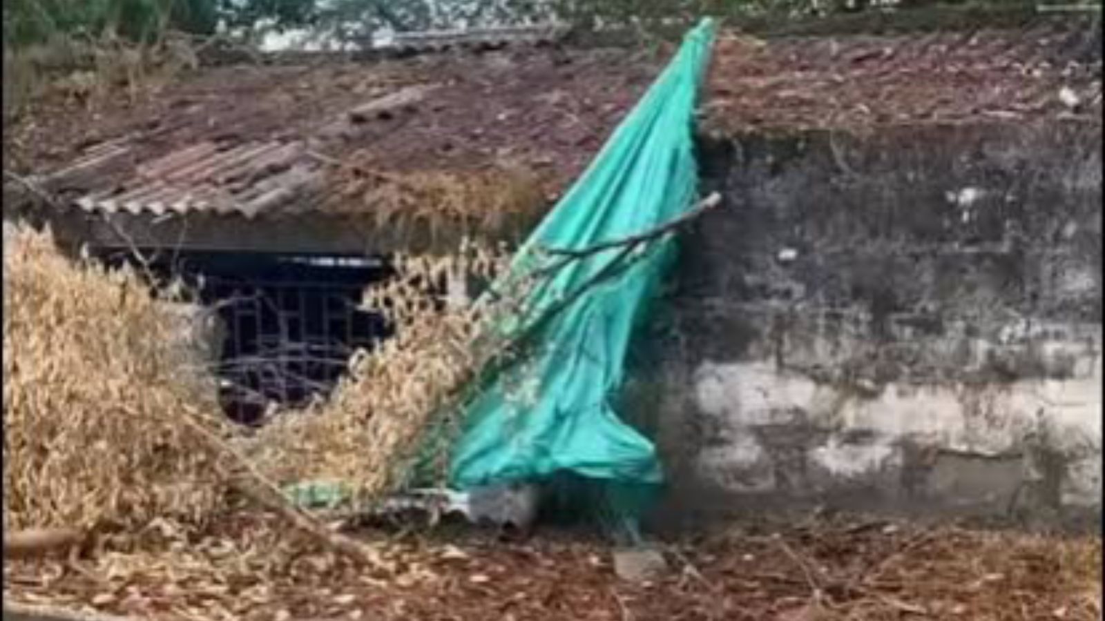 Comunidad educativa del Guamo denuncia riesgo por tapia caída en colegio