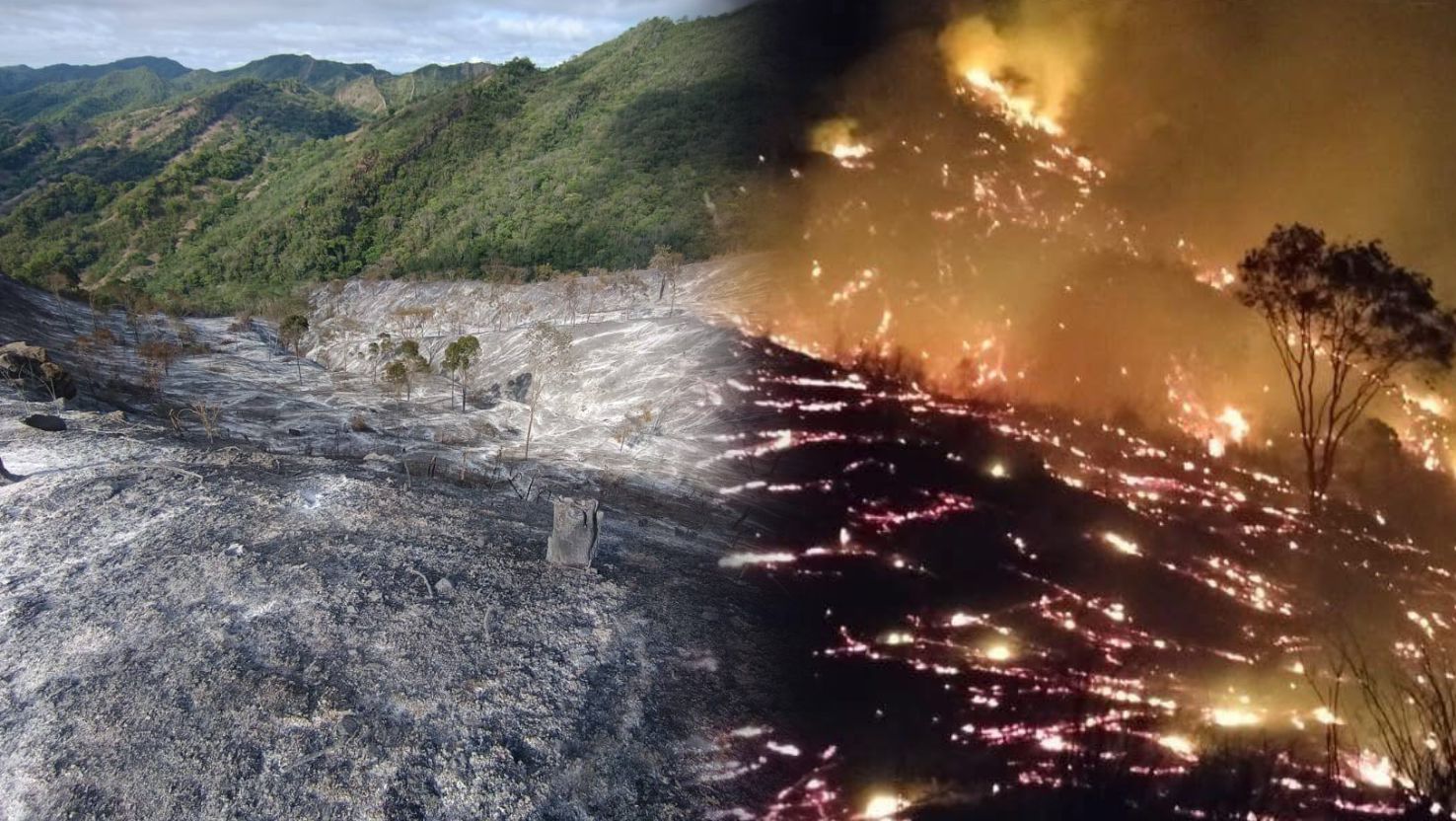 Avanza sin control incendio forestal en Honda y arrasa más de 20 hectáreas