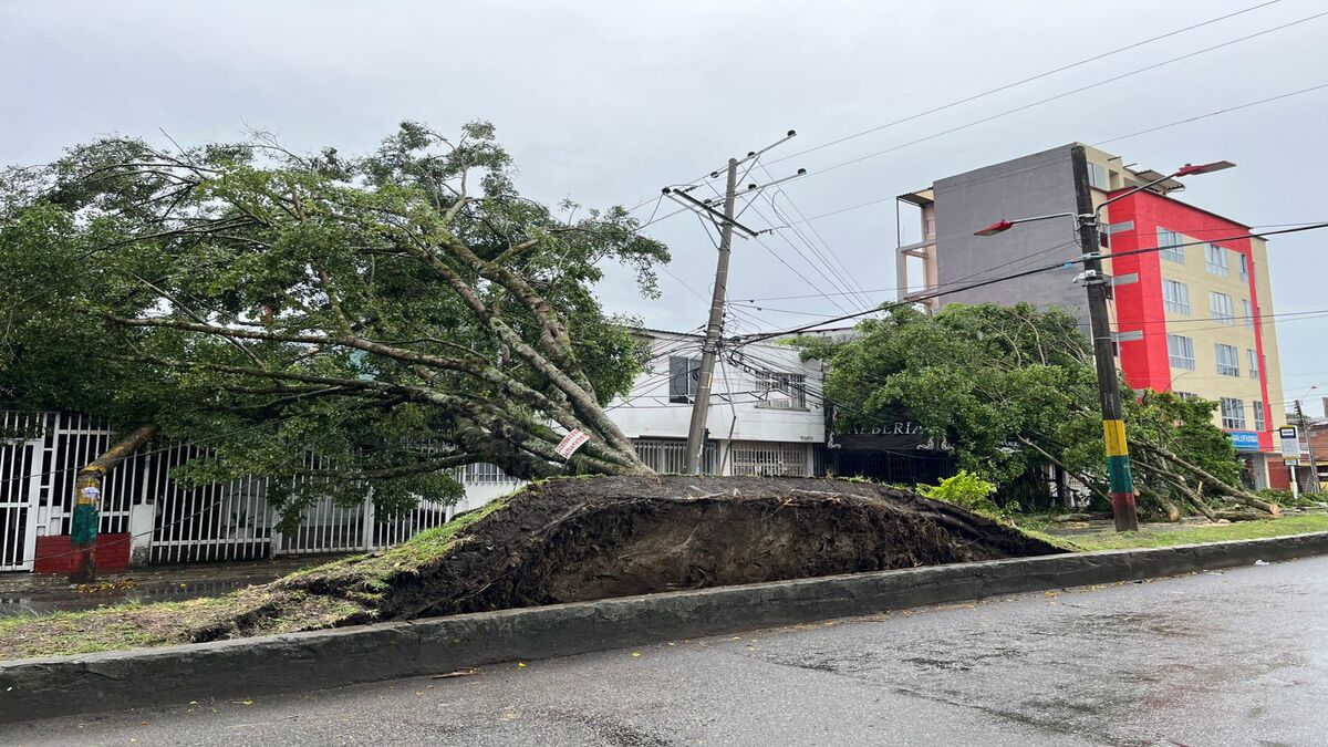 Caída de Arboles | Falta de Energía | Emergencias por Lluvias | Septiembre 2025