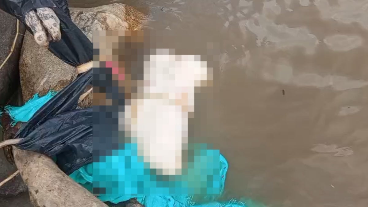 Macabro hallazgo en el río Magdalena: joven desmembrado es encontrado por pescadores