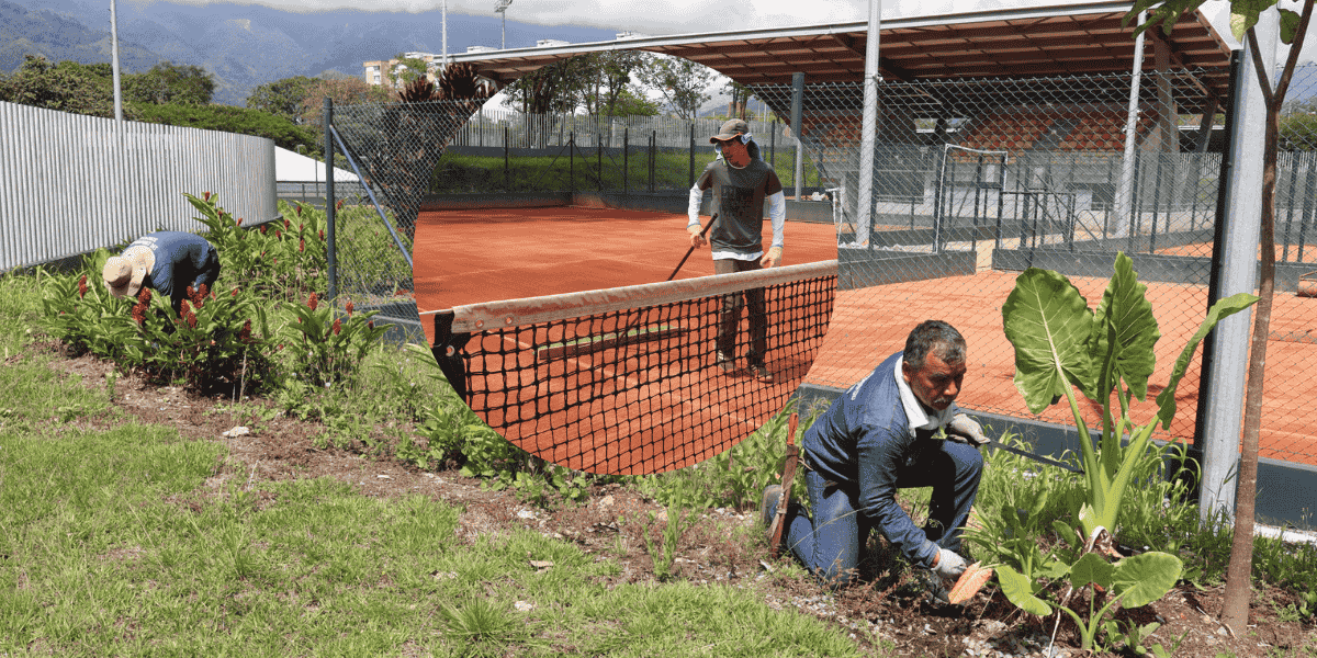 El Complejo de Raquetas