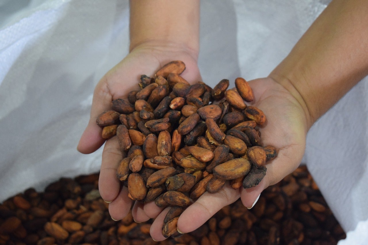 Cacao del Huila