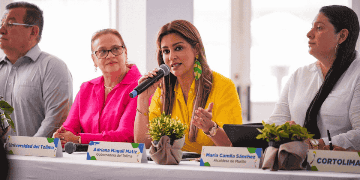 cruzada internacional para proteger la Cordillera de Los Andes