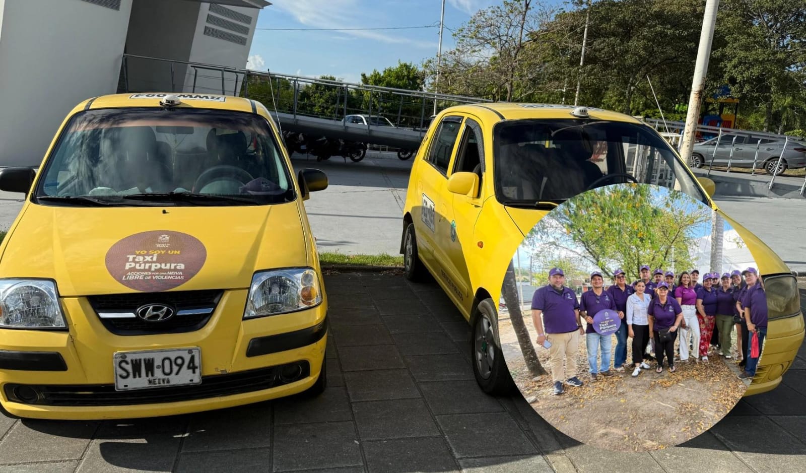 Taxis purpura Neiva.