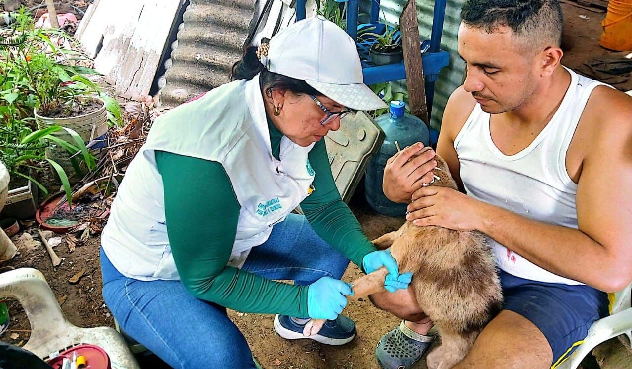 Vacunación antirrábica