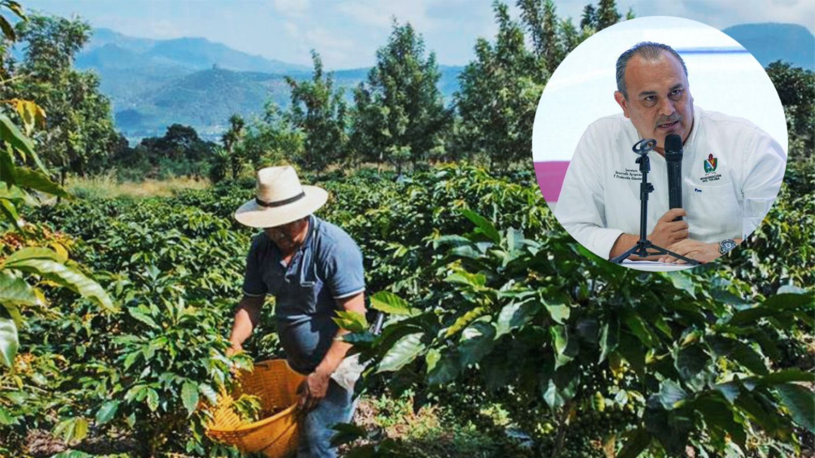 Tolima entra en temporada de variabilidad climática: calor extremo y lluvias repentinas