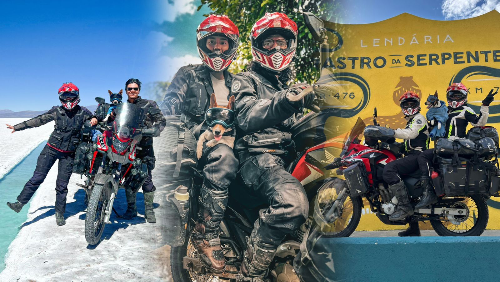 De Ibagué a la Patagonia: una pareja viajó cuatro años en moto con su mascota