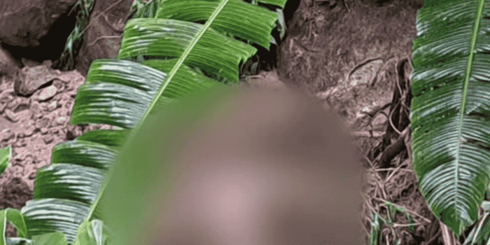 Hallazgo de un cuerpo en avanzado estado de descomposición genera preocupación en zona rural de Rovira