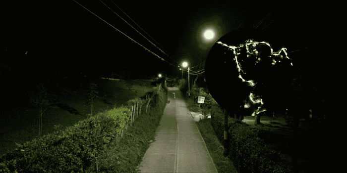 Santa Teresa estrena más de cien luminarias LED que mejoran la seguridad y el servicio público