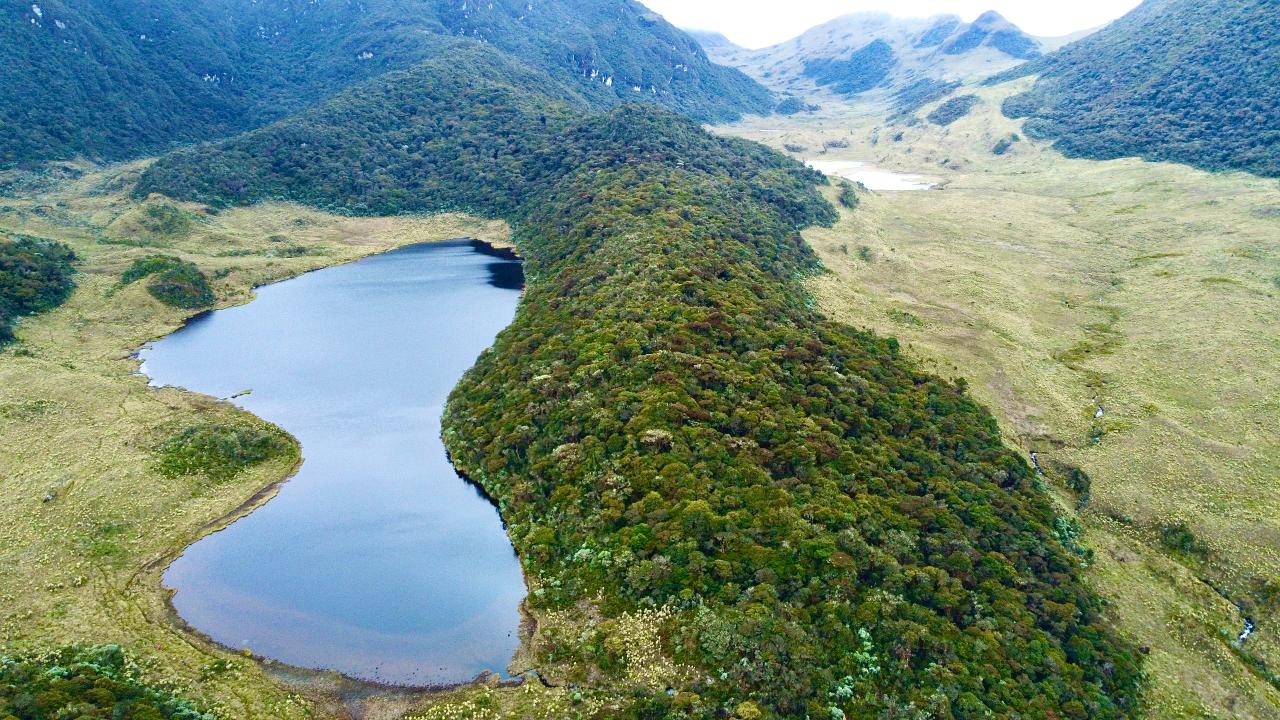 Contenido patrocinado - Ubicado en Roncesvalles, el parque se consolida como un área estratégica para la conservación de la biodiversidad y la regulación hídrica.