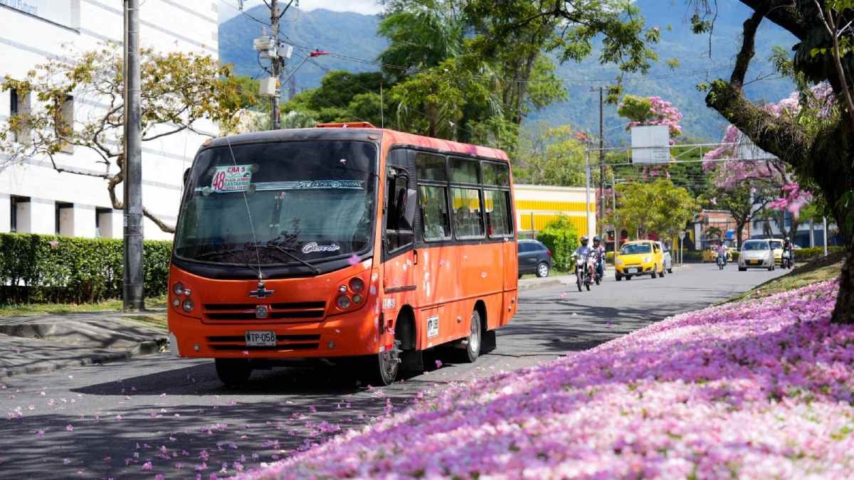 Busetas Ibagué | Buseta de transporte público | Transporte Ibagué | Diciembre 2025