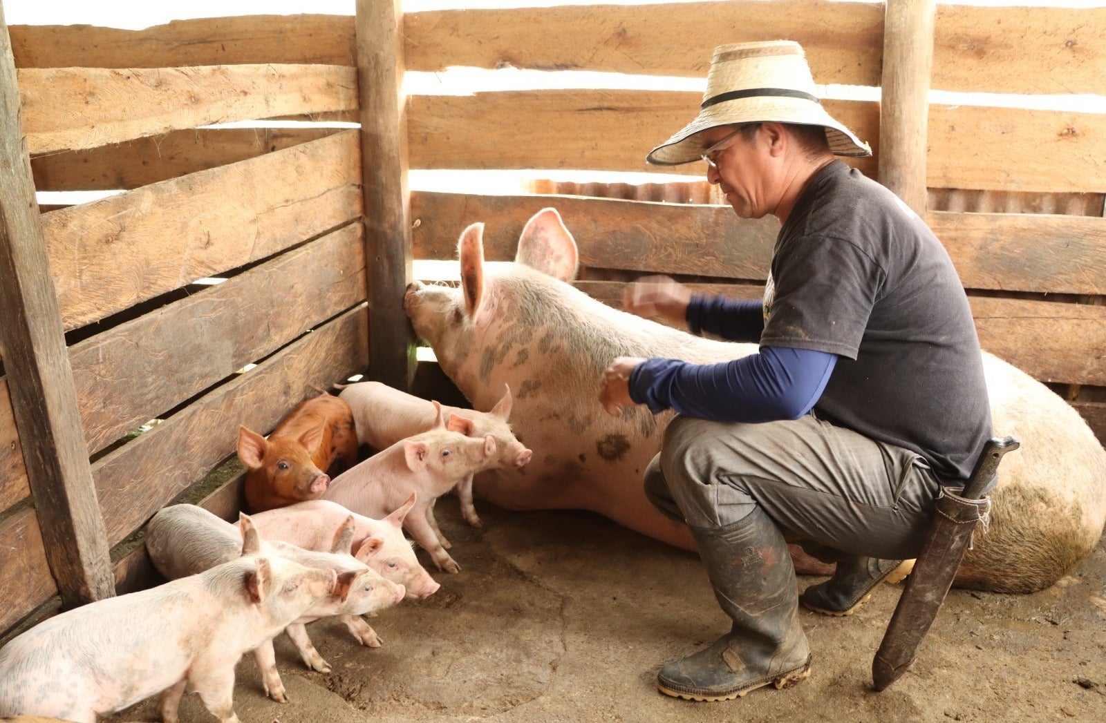 Biodigestores transforman residuos en energía
