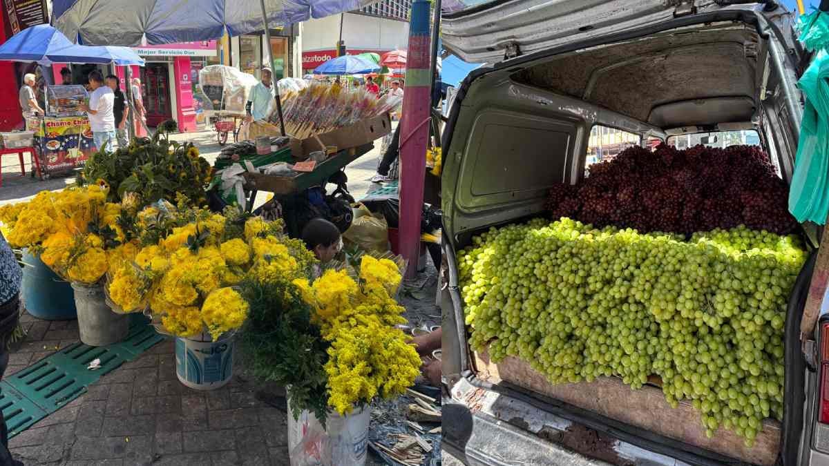 Ventas 31 de diciembre | 31 de diciembre Ibagué | Ibagué | Diciembre 2025