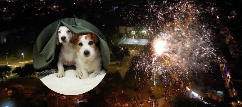 La pólvora podría cambiar para siempre en Colombia