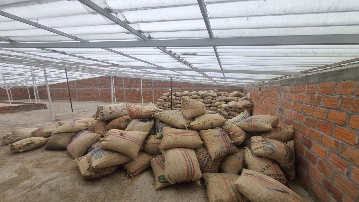 Bultos de Café | Carga de Café | Café | Diciembre 2025