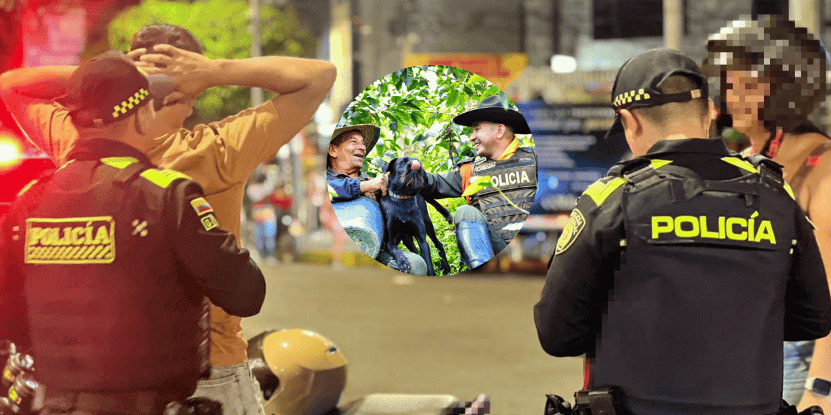 Balance de seguridad durante diciembre evidenció reducción de delitos en el país