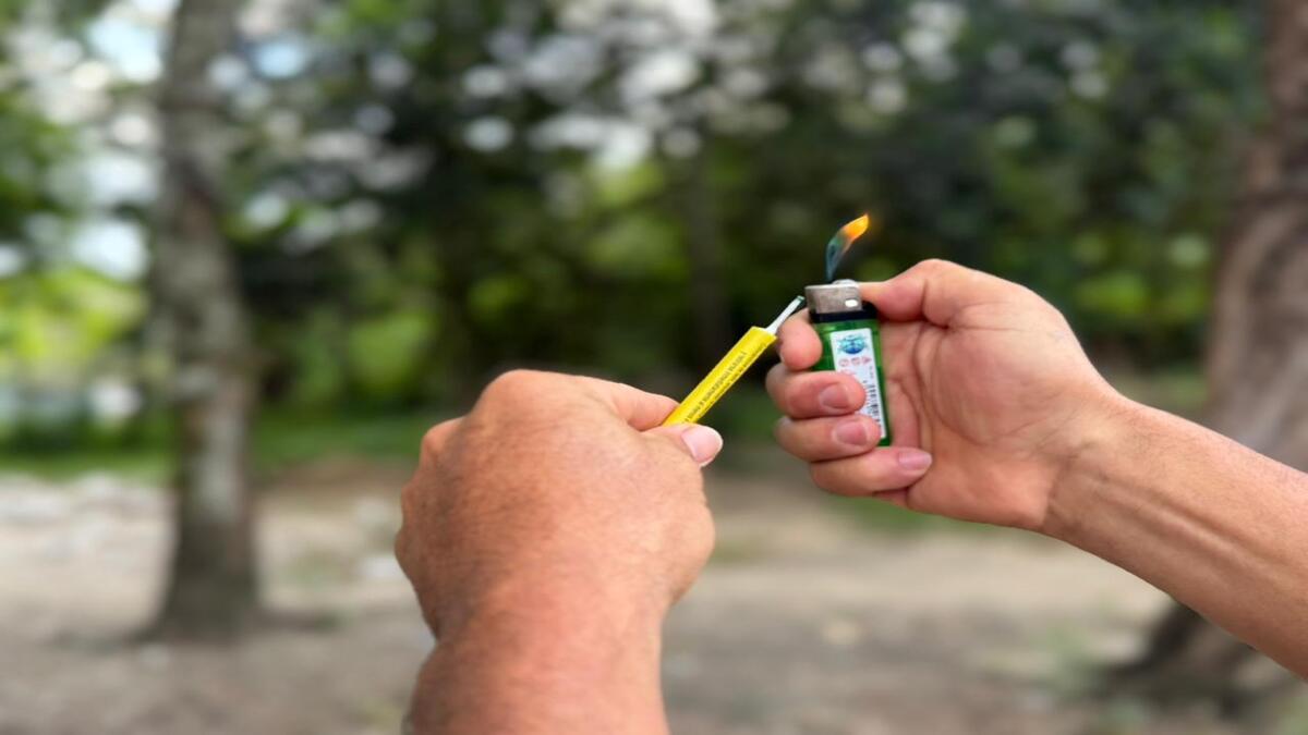 Quemados por pólvora | Quemados | Uso de pólvora | Enero 2026