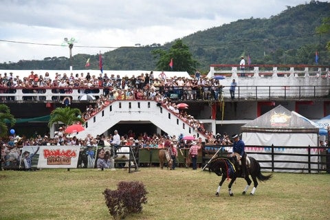 feriaequino19.jpg