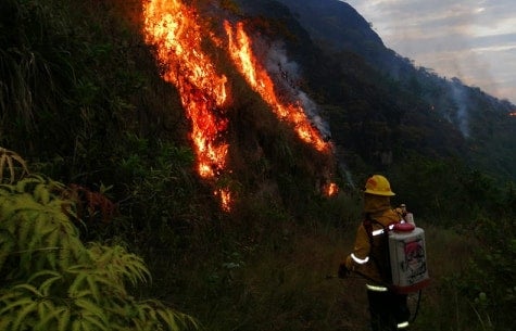 incendios19.jpg
