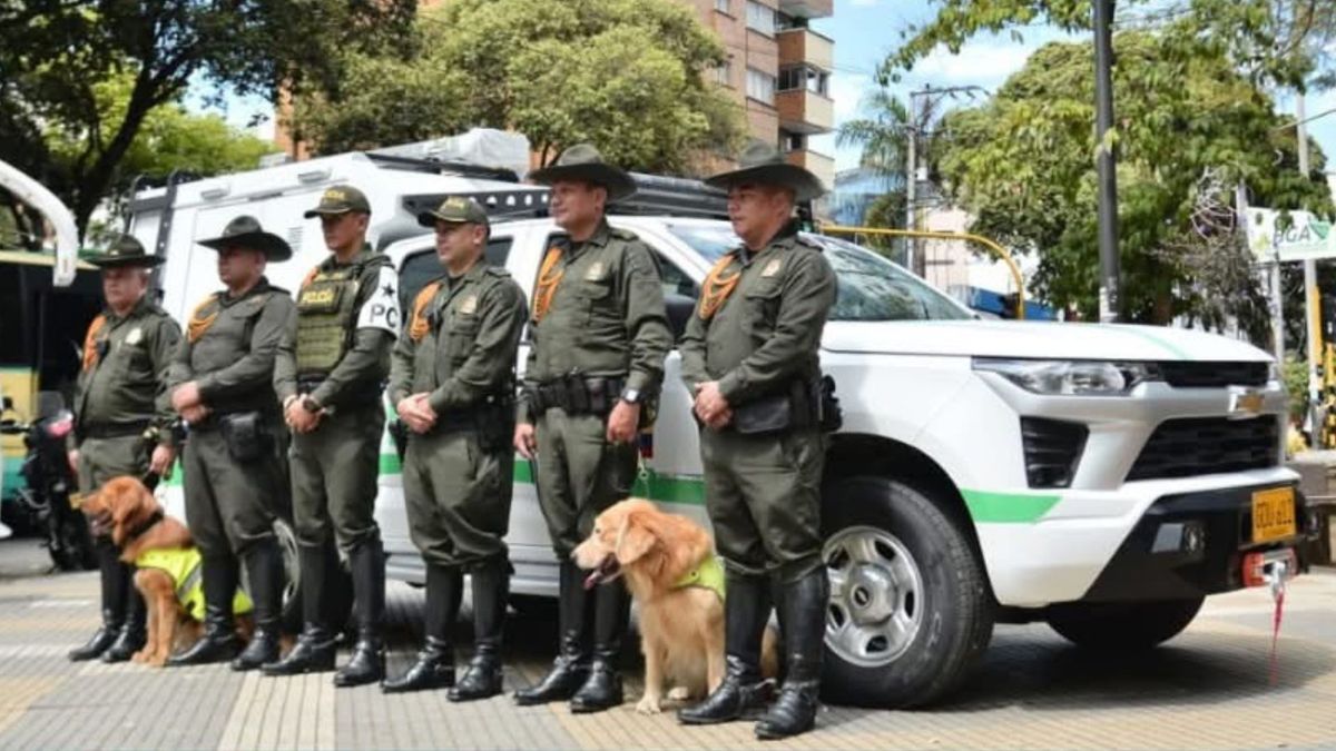 Patrulla Animal en Bucaramanga