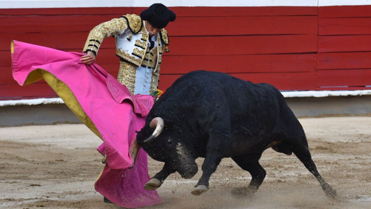 Corrida de toros suspendida en Puente Piedra por seguridad y trámites legales