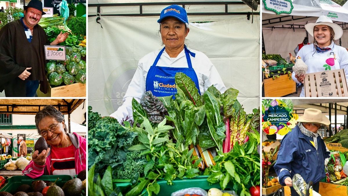 Lácteos, frutas y verduras: visite los Mercados Campesinos este sábado y domingo