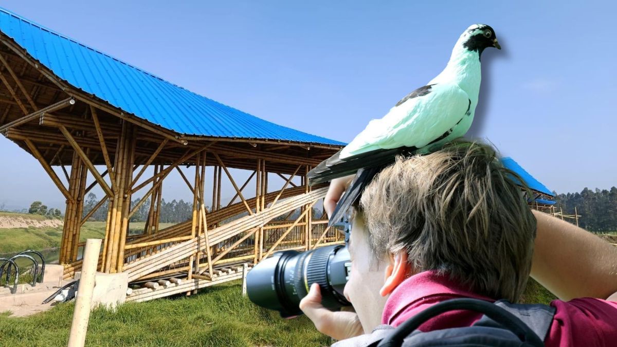 Río Bogotá se transforma: CAR abre senderos y zonas verdes para visitantes