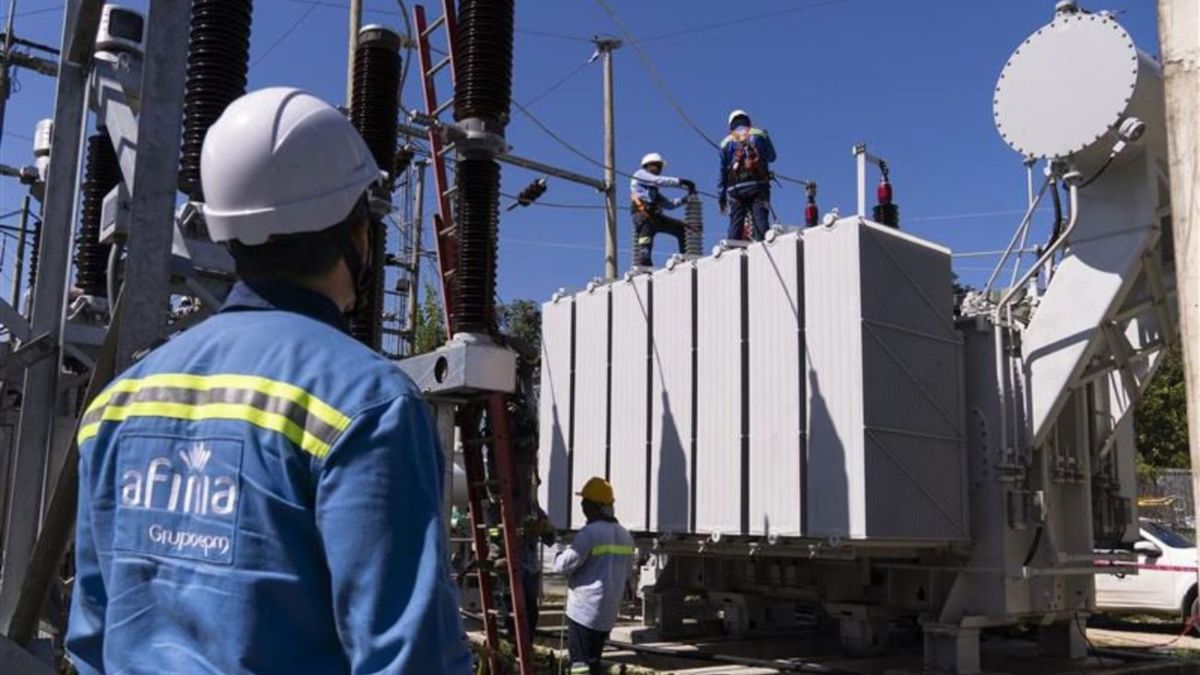 Muestran aquí una Planta de Afinia