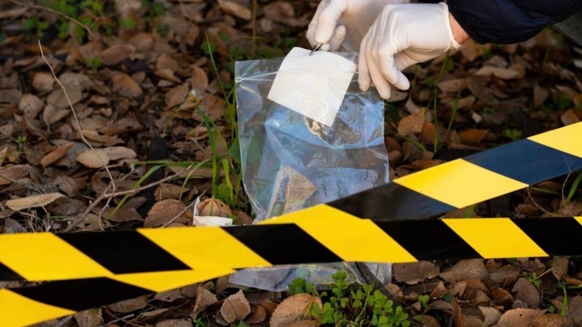 Referencia de escena del crimen