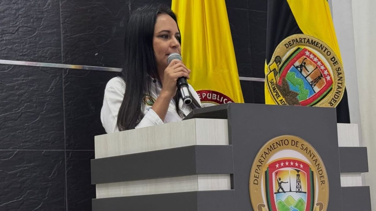 Diana María Durán Villar, secretaria de Hacienda de Santander