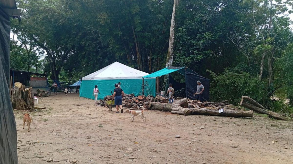 Siguen aumentando los reportes de personas desplazadas por la violencia en Norte de Santander