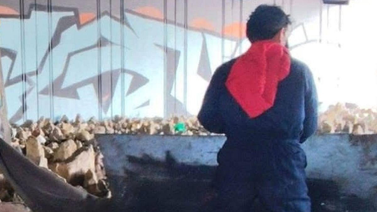 Restos animales en Puente Aranda; desmienten sacrificios y consumo