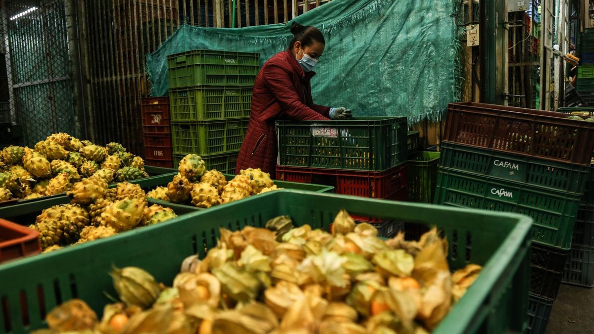 Comerciante de Corabastos organizando sus productos