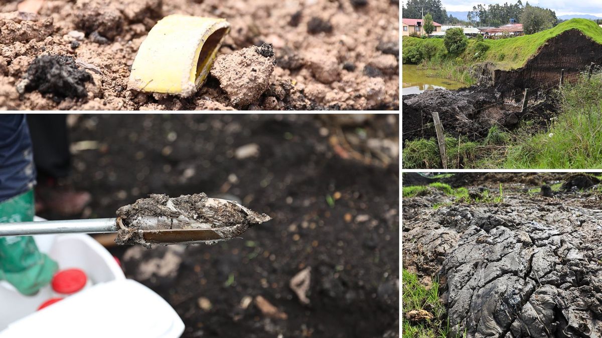 Por afectar árboles y el terreno, CAR suspendió mina en Madrid